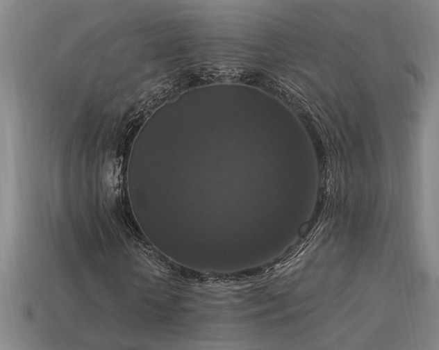 X0000113950818200909251336