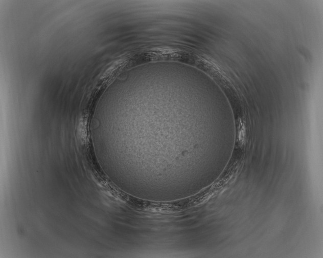 X0000113950819200909251336