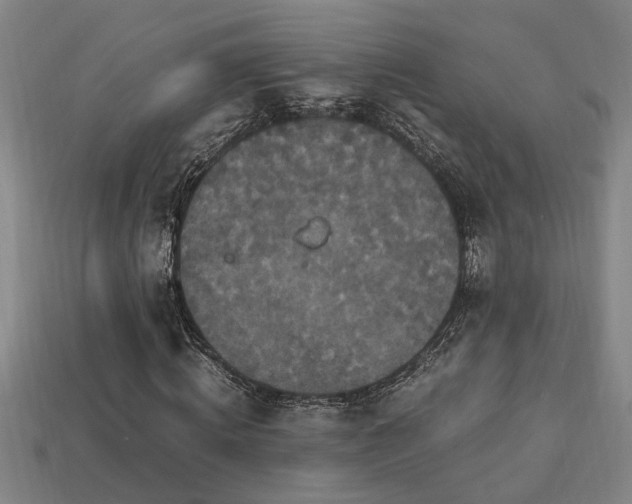 X0000113950820200909251336