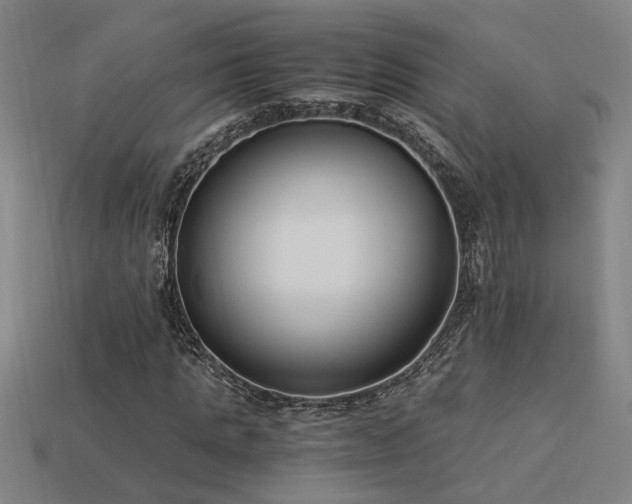 X0000113950821200909251336