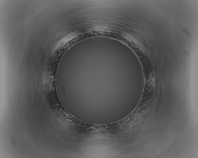 X0000113950822200909251336