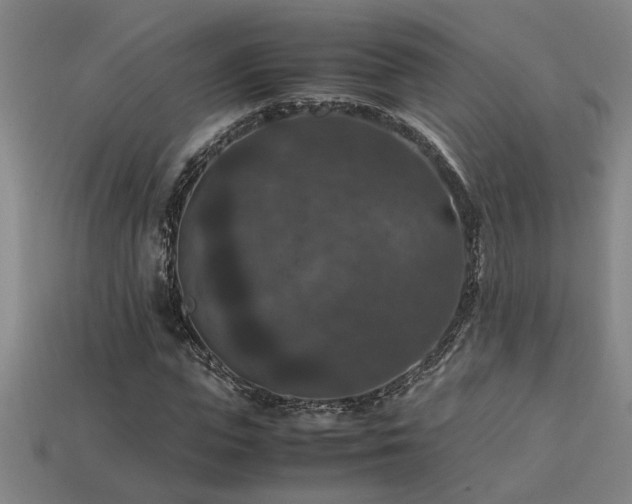 X0000113950823200909251337