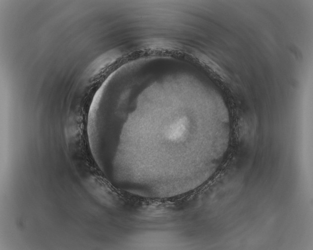X0000113950824200909251337