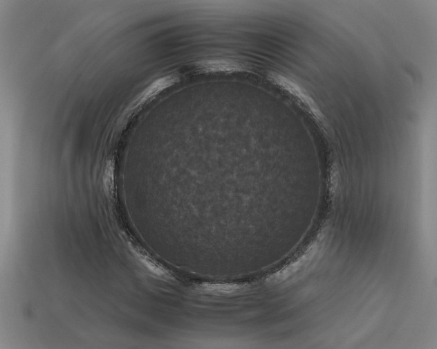 X0000113950825200909251337
