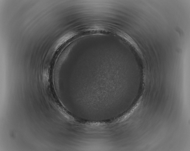 X0000113950826200909251337