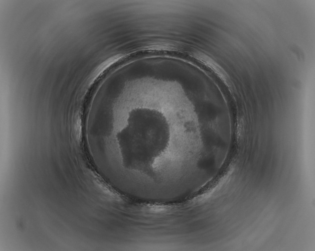 X0000113950829200909251337