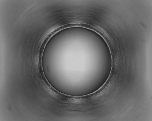 X0000113950831200909251337