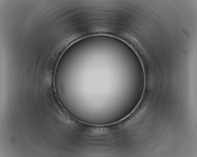 X0000113950833200909251337