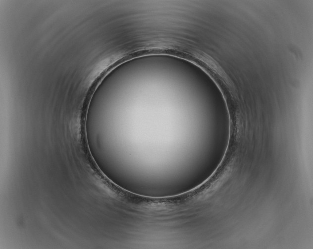 X0000113950834200909251337