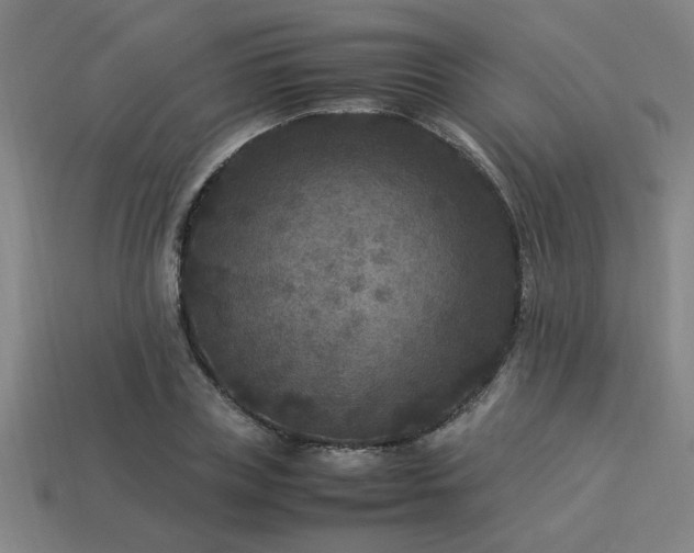 X0000113950835200909251337