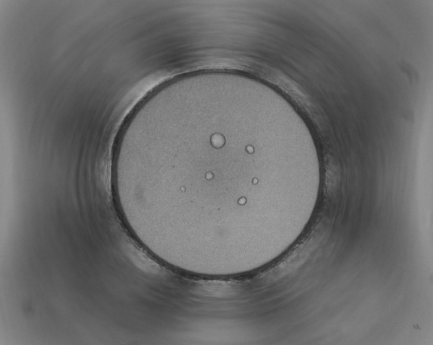 X0000113950836200909251337