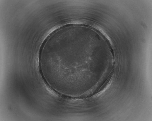 X0000113950837200909251337