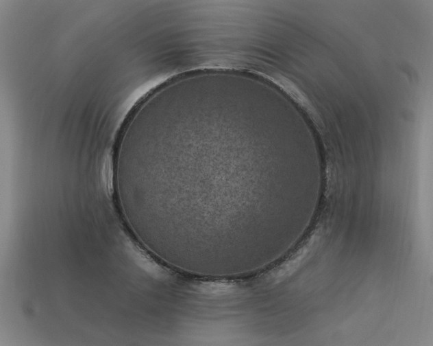 X0000113950838200909251337