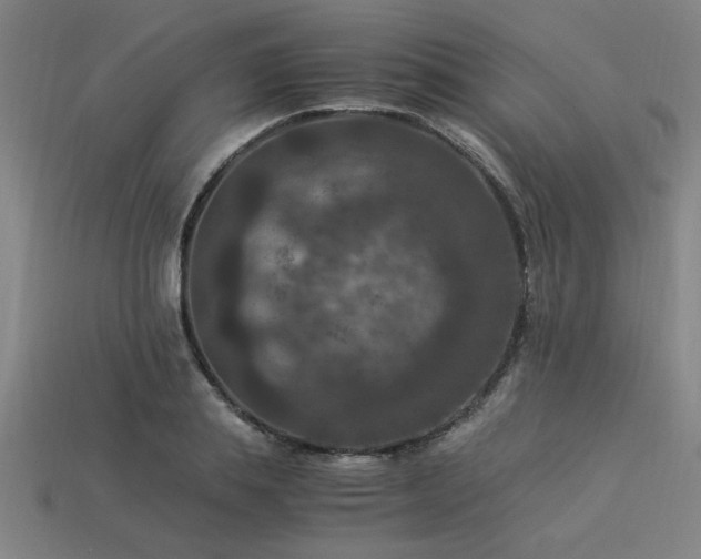 X0000113950839200909251337