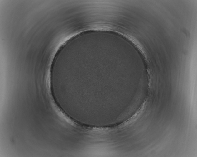 X0000113950840200909251337