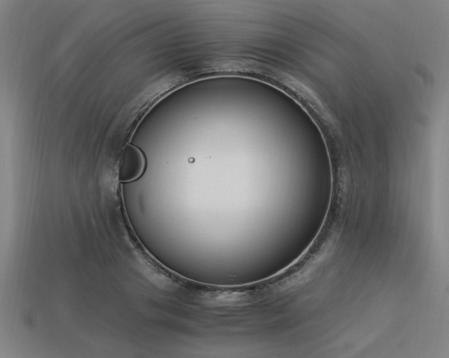 X0000113950841200909251337