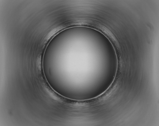 X0000113950842200909251337