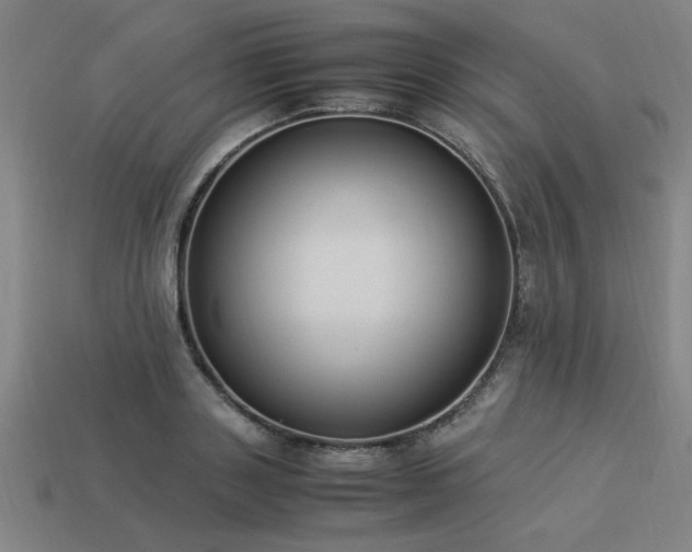 X0000113950843200909251337