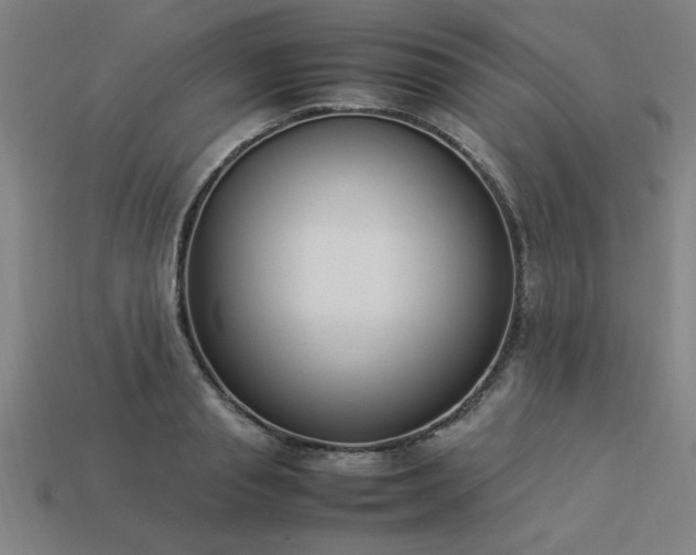 X0000113950845200909251337