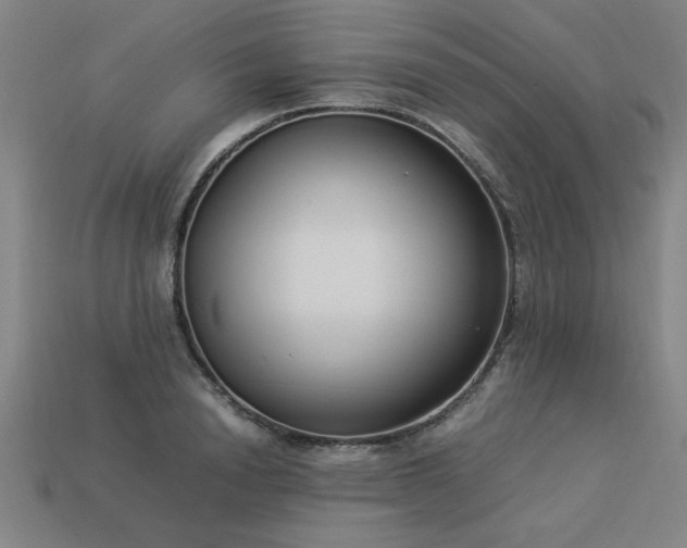 X0000113950846200909251337