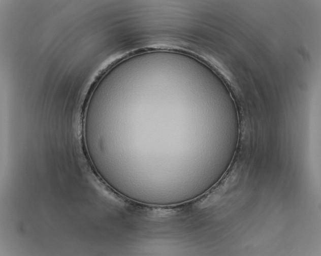 X0000113950848200909251337
