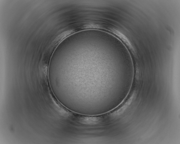 X0000113950849200909251337