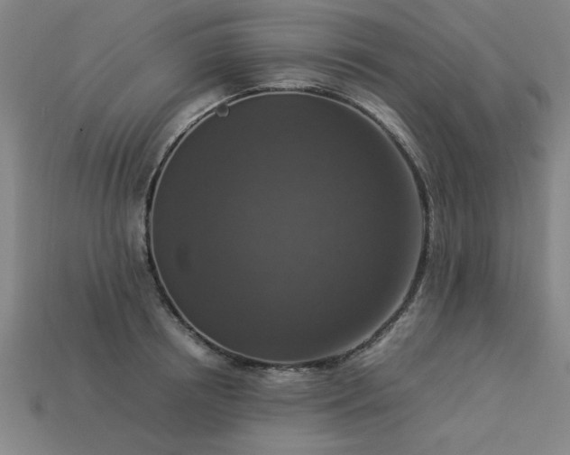 X0000113950850200909251337