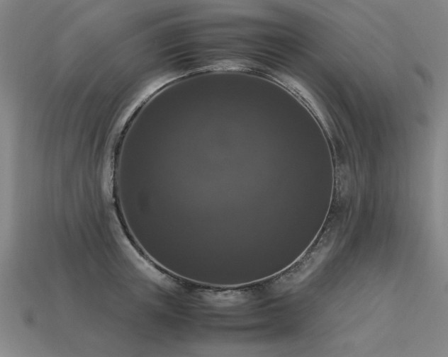 X0000113950851200909251337