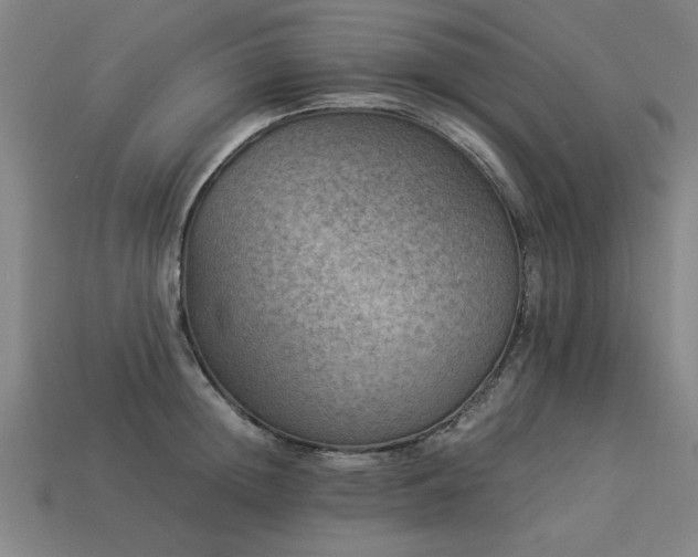 X0000113950852200909251337