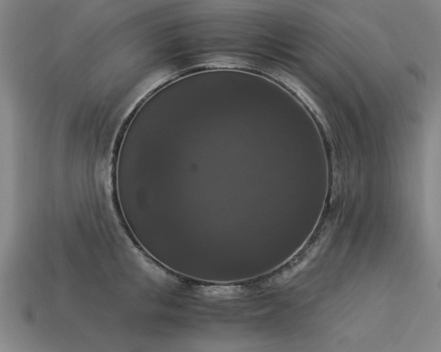 X0000113950853200909251337