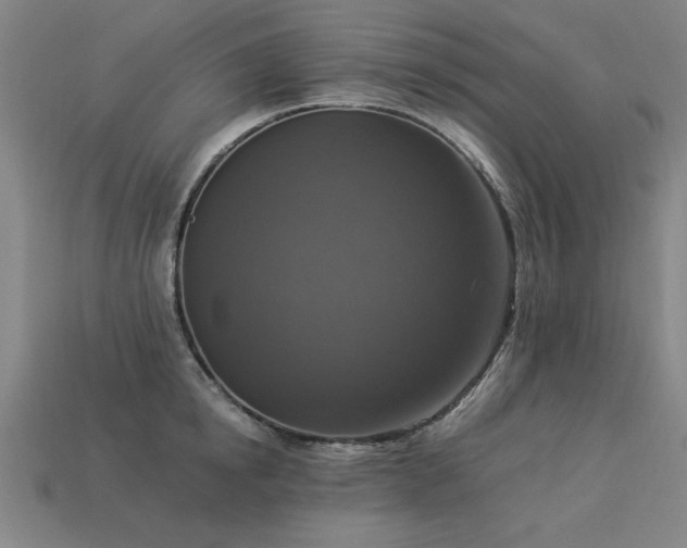 X0000113950854200909251337