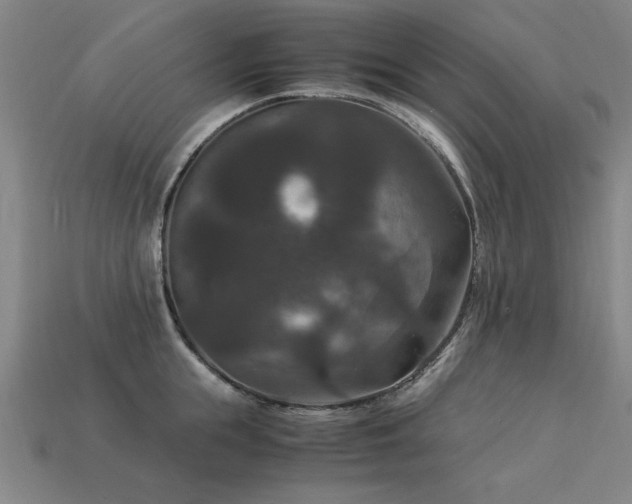 X0000113950855200909251337