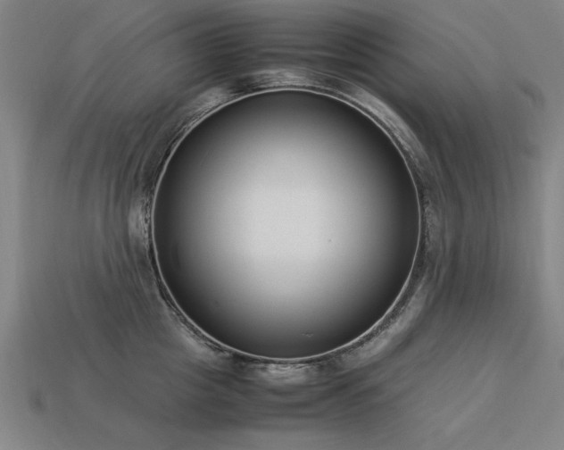 X0000113950857200909251337