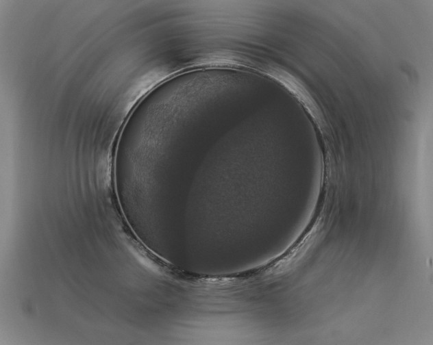 X0000113950858200909251337
