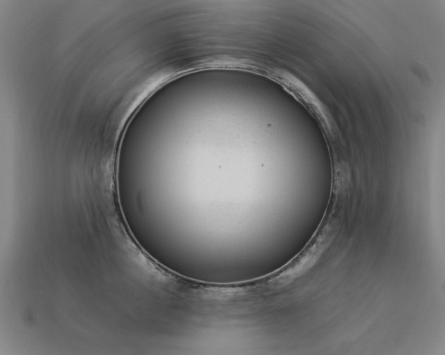X0000113950860200909251337