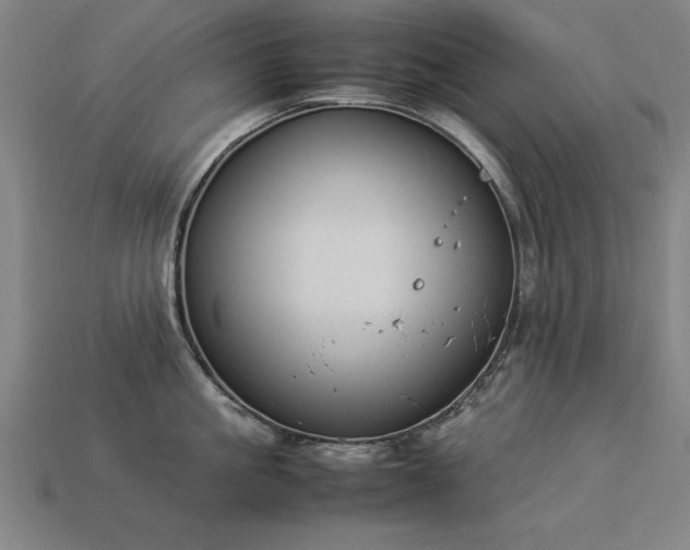X0000113950861200909251337