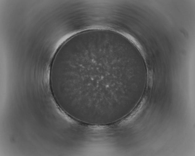 X0000113950862200909251337