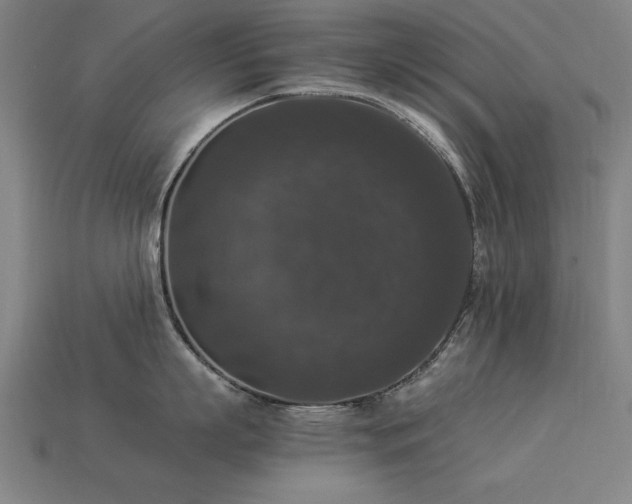 X0000113950863200909251337