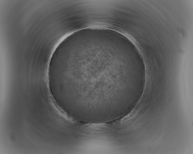 X0000113950864200909251337