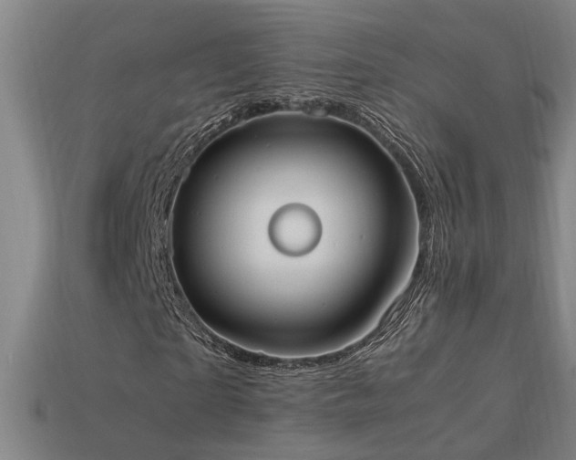 X0000113950865200909251336