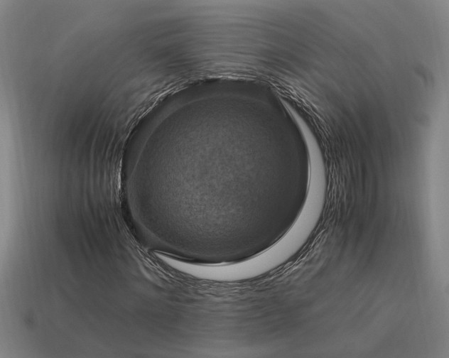 X0000113950868200909251336
