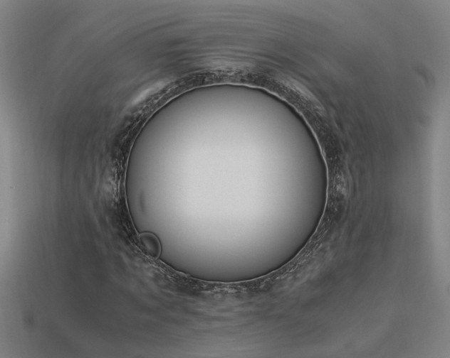 X0000113950869200909251336