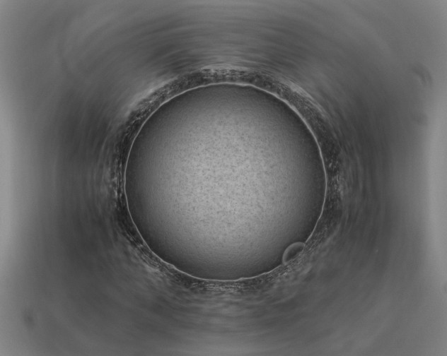 X0000113950870200909251336