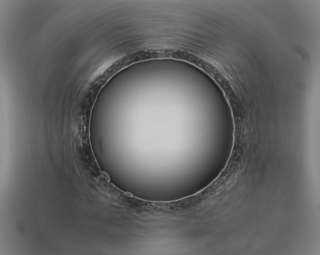 X0000113950871200909251336