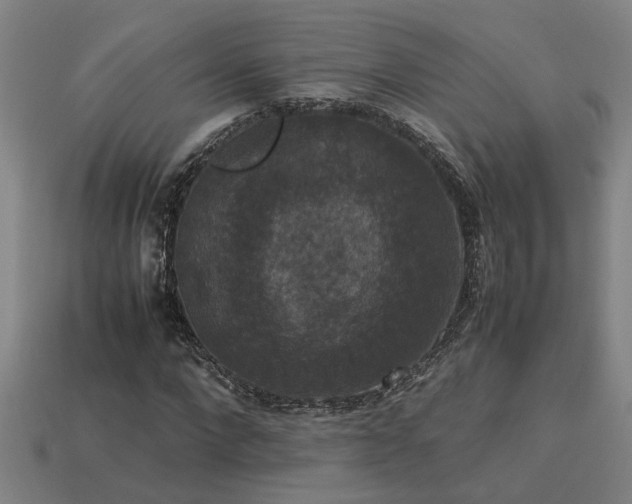 X0000113950872200909251336