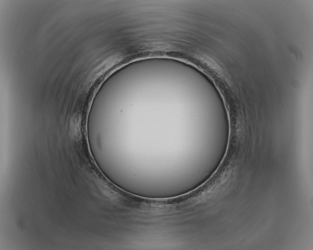 X0000113950873200909251336