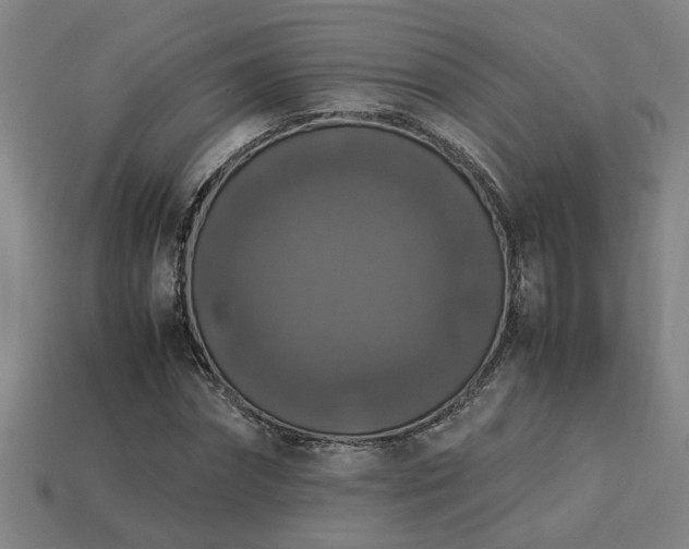 X0000113950874200909251336