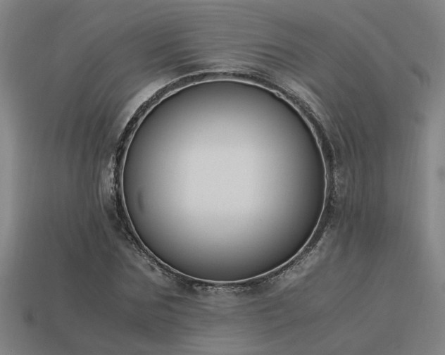 X0000113950875200909251336
