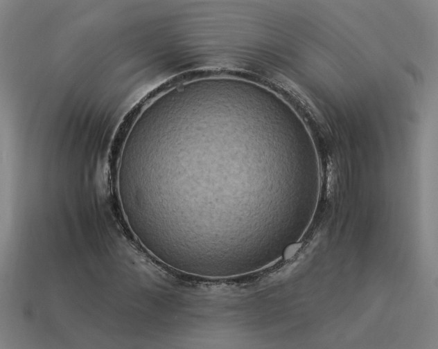 X0000113950876200909251336
