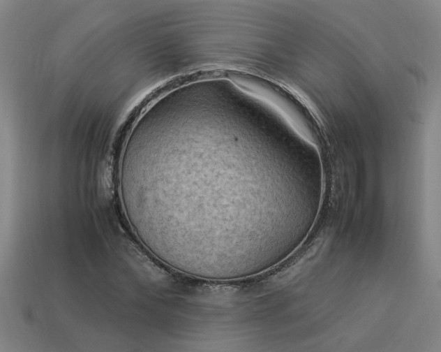 X0000113950878200909251336